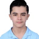 Michel Lwisah
