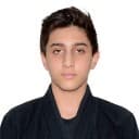 Hamed Al Hanaee