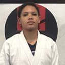 Ana Julia Palmeiras Ferreira